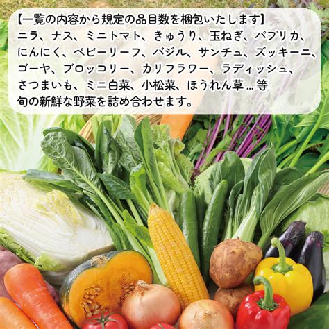 【楽天市場】【ふるさと納税】 野菜 詰め合わせ 旬の新鮮野菜 56品目 産地直送 野菜 セット 季節 サラダ 新鮮 冷蔵 クール便 やさい