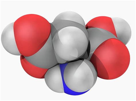 Aspartic Acid Molecule Photograph By Laguna Design Science Photo