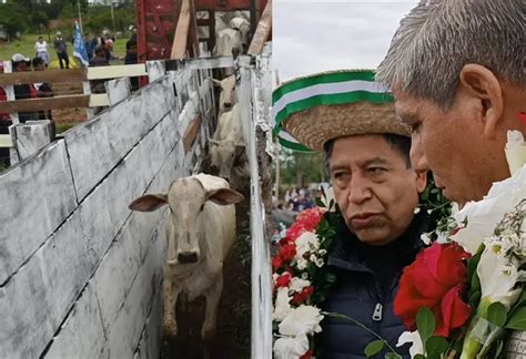 Gobierno entregó vaquillas a pequeños productores de Yapacaní CANILLITA