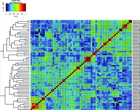 Genomic Relationship Matrix Scaled Between And And Clustering Of