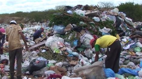 Cbn Meio Ambiente Quase 60 Dos Municípios Brasileiros Ainda