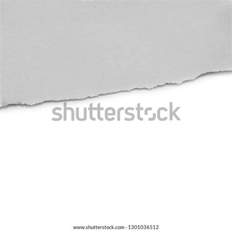 Paper Tears Isolated On White Background Stock Photo 1301036512