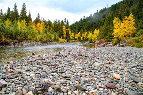 Solve Montana Gravel Bar Jigsaw Puzzle Online With Pieces