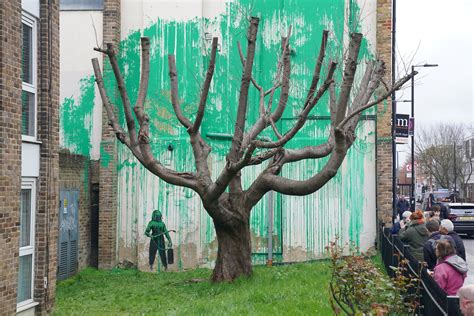 Banksy Tree Mural Defaced With White Paint