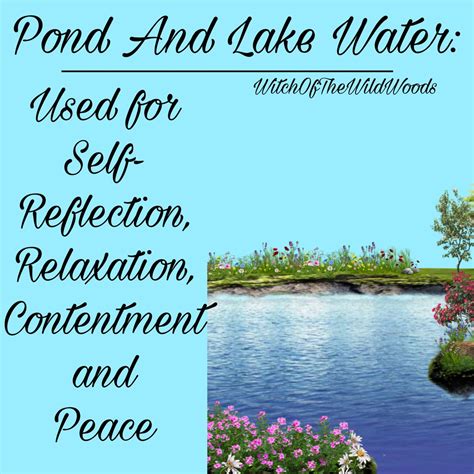 Pond And Lake Water, 2024