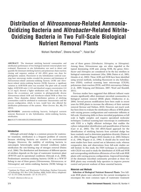 (PDF) Distribution of Nitrosomonas-Related Ammonia-Oxidizing Bacteria and Nitrobacter-Related ...