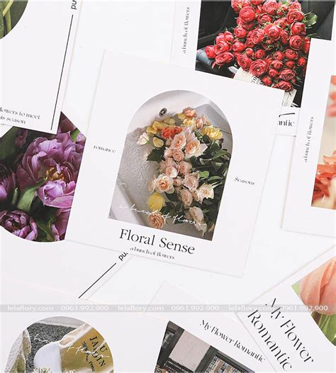 Thi P Gi Y M T M T Hot Trend Pkk Lela Flory