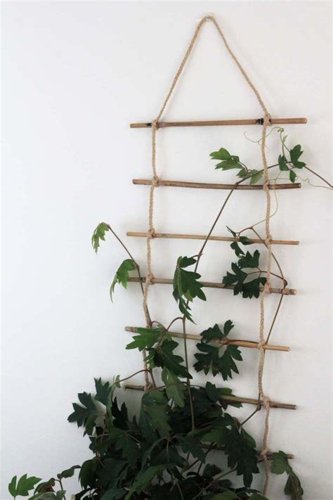 Diy Indoor Plant Trellis Artofit