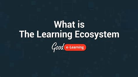 What Is The Learning Ecosystem Youtube