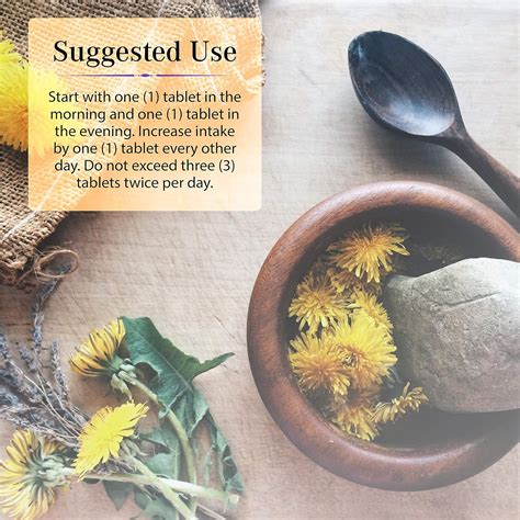 Nature's Secret Digestion & Detox Support - Promotes Philippines | Ubuy