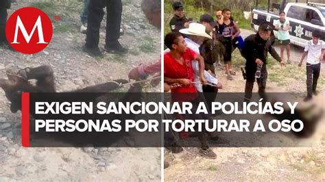 Denuncian a policías y pobladores de Coahuila por maltrato a oso negro