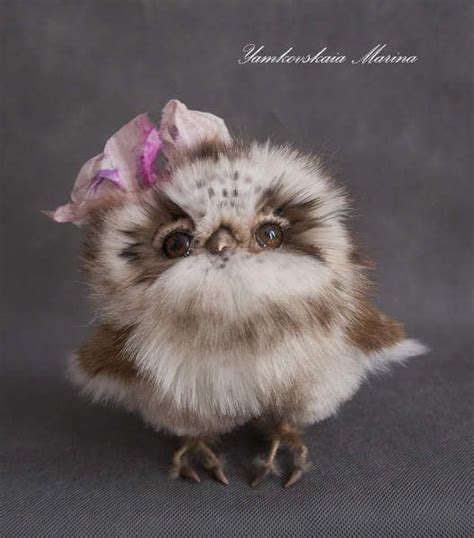 Cute Fluffy Baby Owls