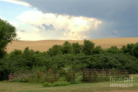 Prairie weather watching Photograph by Andrea Dodge