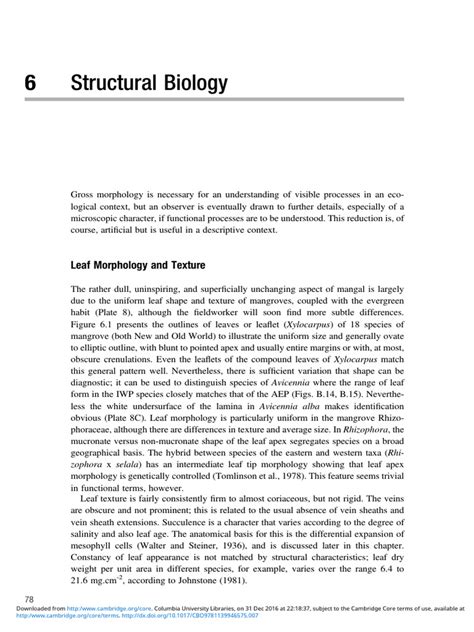 Structural Biology Of Mangrove Pdf Leaf Tissue Biology