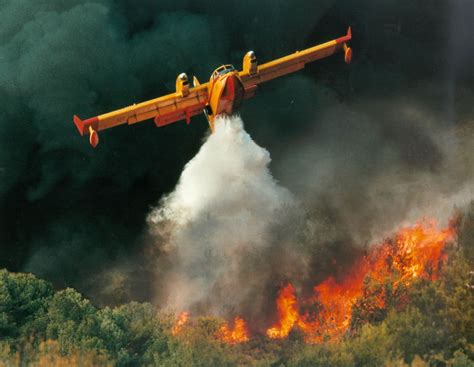 Aircraft Nut Car Crash Fire Water Bombed