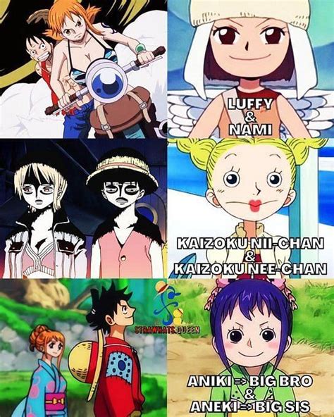 One Piece Does Nami Love Luffy