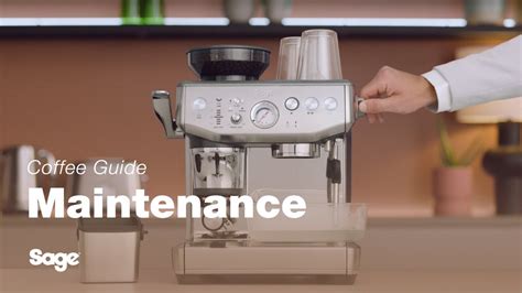 The Barista Express Impress How To Perform A Descale Cycle Sage