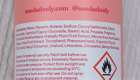 Sundae Pomegranate Fizz Foaming Body Wash Beauty Detective