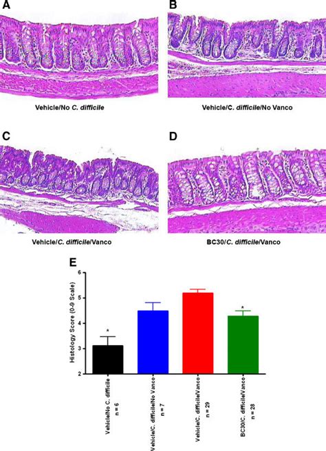 Colonic Histology Representative Histology Pictures From Hematoxylin