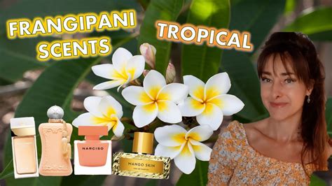 Best Tropical Frangipani Fragrances 🌴 Top Summer Perfumes With Frangipani L Perfume Collection