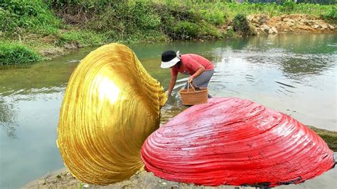 Pearl Explorer The Girl Found A Huge Clam In The River With A