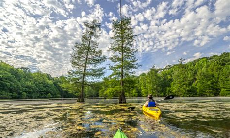 Mississippi River State Park Marianna Ar