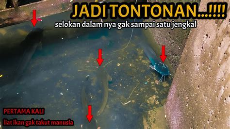 GEGER MANCING IKAN DI SELOKAN KECIL DITENGAH KOTA JADI