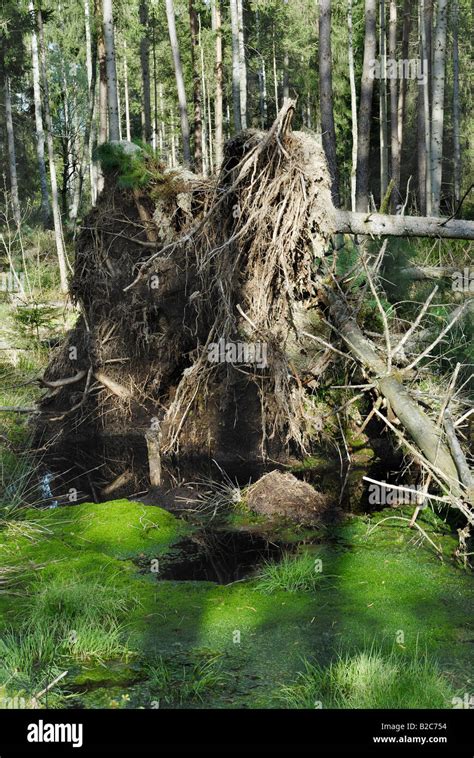 Acque Sotterranee Immagini E Fotografie Stock Ad Alta Risoluzione Alamy