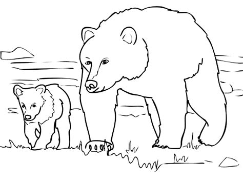 Top 25 Bear Coloring Pages for Kids - Home, Family, Style and Art Ideas