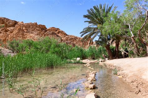 Nature Of Chebika Mountain Oasis On The Border Of The Sahara Lake With