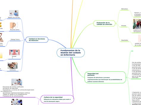 Fundamentos De La Gesti N Del Cuidado En E Mind Map