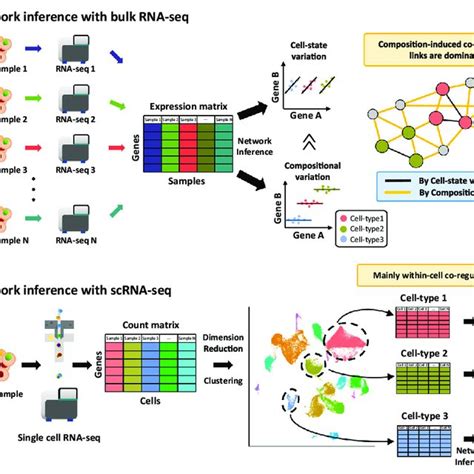 Comparison Between Network Inference With Bulk Rna Seq And Scrna Seq A