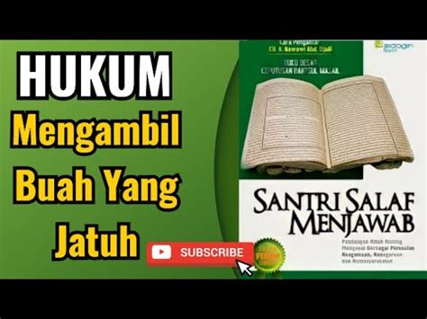 Hukum Mengambil Buah Yang Jatuh Santri Salaf Menjawab Youtube