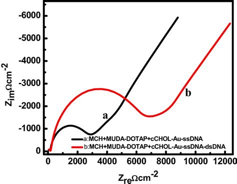 Eis Sensing Of Real Bacterial Sample E Coli On Download