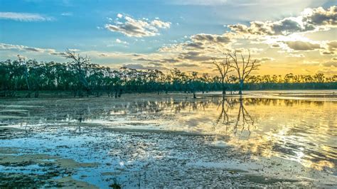 What is the Murray-Darling Basin Plan?