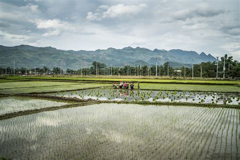 VIETNAM // LANDSCAPE on Behance