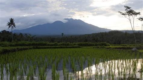 Pvmbg Ingatkan Pendaki Waspada Saat Di Gunung Api Berstatus Level Ii