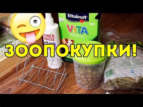 ОТЗЫВ на ЗООТОВАРЫ / ЗООПОКУПКИ / Сено, Корм, Поилка для Морских Свинок ...
