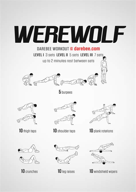 Werewolf Workout | Plyometric workout, Agility workouts, Werewolf