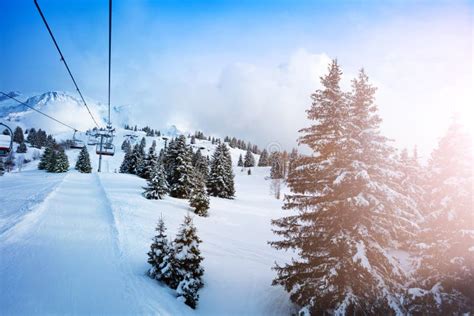 Remonte Y Montañas Nevadas Con El Fondo De Los árboles De Pino En El