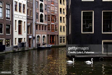 11,026 City Of Swan Stock Photos, High-Res Pictures, and Images - Getty ...