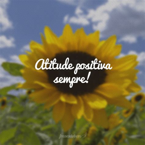 45 Frases De Energia Positiva Para Transmitir Coisas Boas