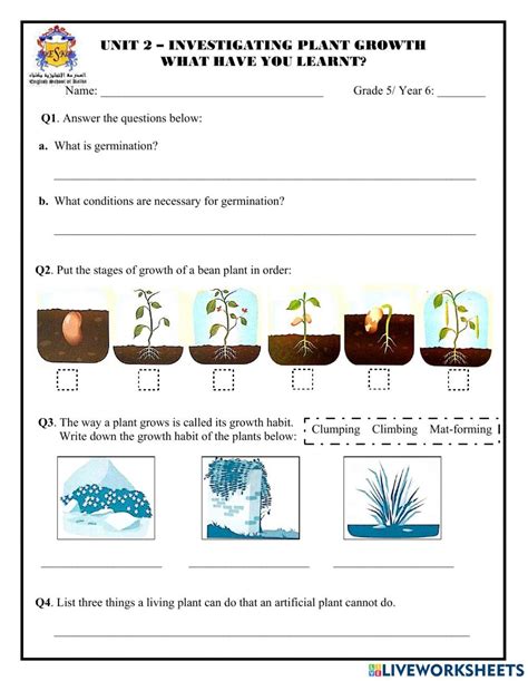 Investigating Plant Growth Grade Worksheets