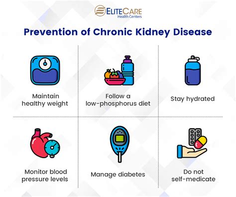 7 Ways To Prevent Chronic Kidney Disease In Seniors Elitecare Hc