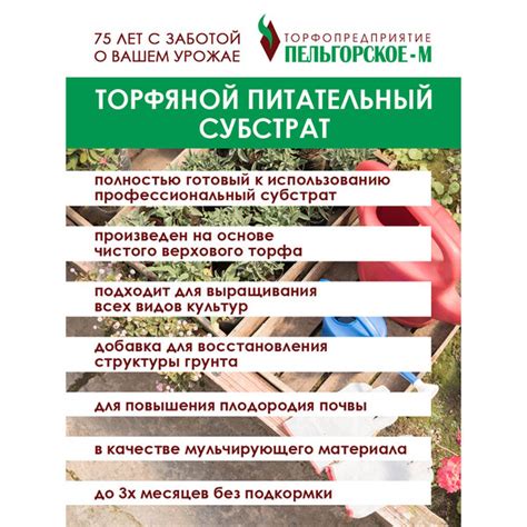 Субстрат Пельгорское-М торфяной питательный 300 л — купить в Санкт ...