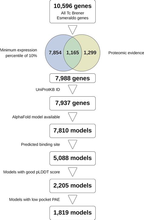 Frontiers The Use Of AlphaFold For In Silico Exploration Of Drug