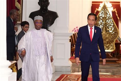 Jokowi Bertemu Sekjen OKI Bahas Persoalan Afghanistan Dan Rohingnya