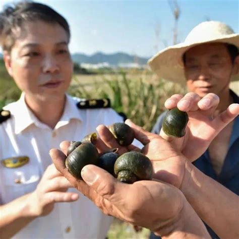 660多种已入侵中国！外来入侵物种十年增三成自然保护区我国董金皋