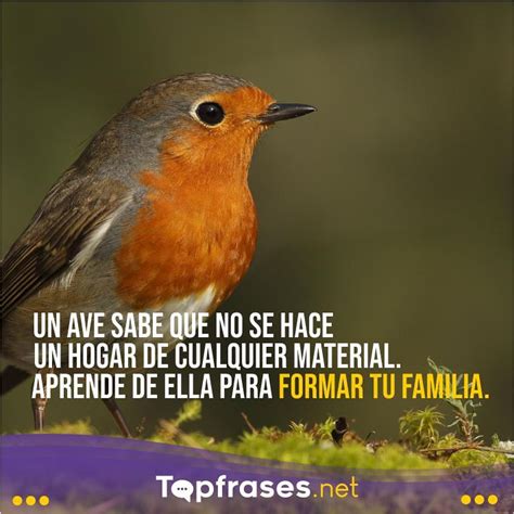 Total Imagen Frases Sobre Aves Abzlocal Mx