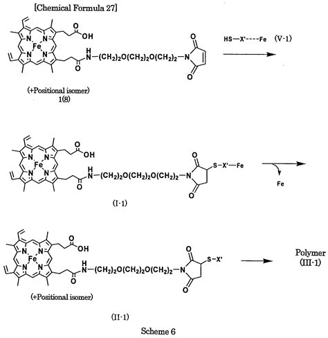 Monomers And Polymers Of Proteins